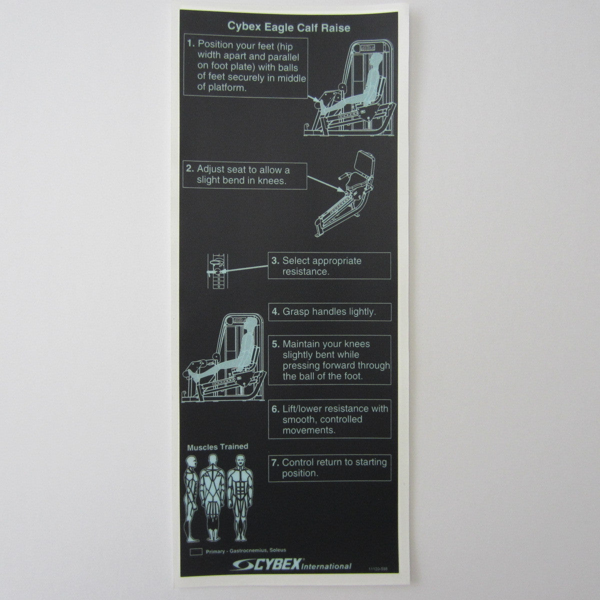 cybex eagle calf raise Cybex Eagle Calf Raise – FitnessGraphics.com