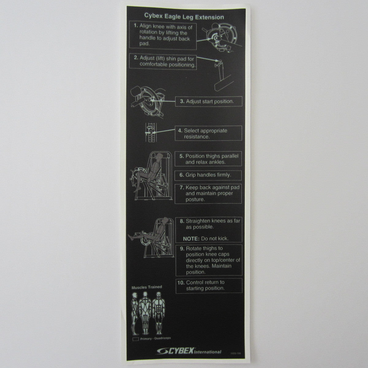 cybex leg extension Cybex Eagle Leg Extension – FitnessGraphics.com
