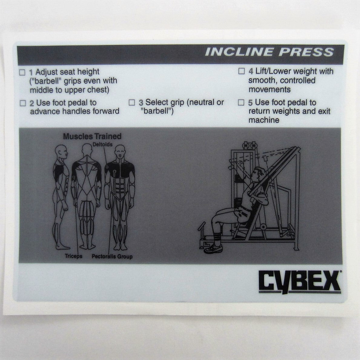 cybex lift Cybex Classic Incline Press – FitnessGraphics.com