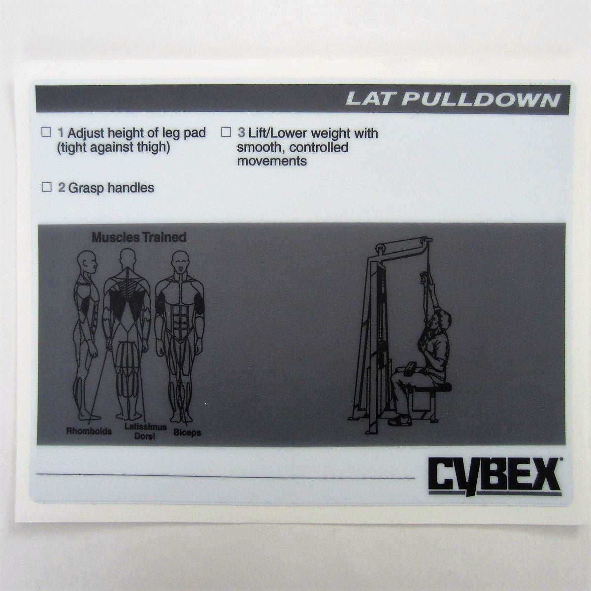 cybex pulldown Cybex Classic Lat Pulldown – FitnessGraphics.com