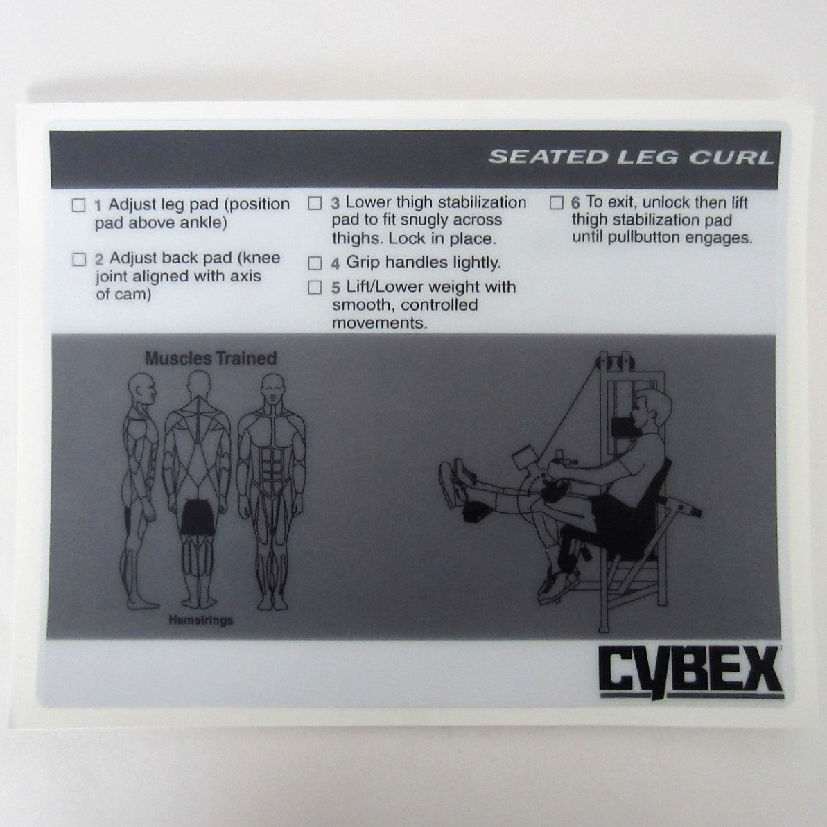 Cybex Classic Seated Leg Curl  FitnessGraphics.com