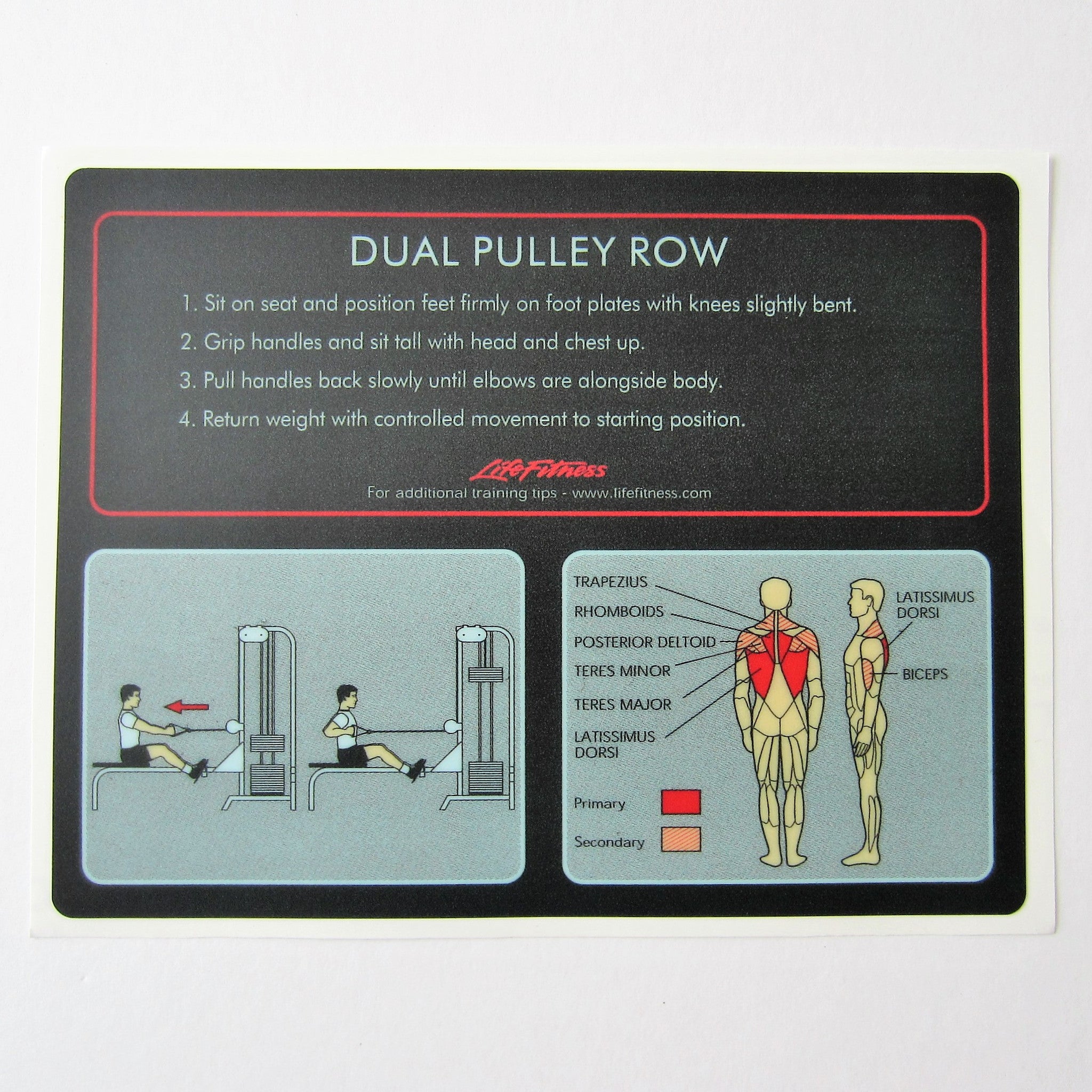 Pulley row best sale