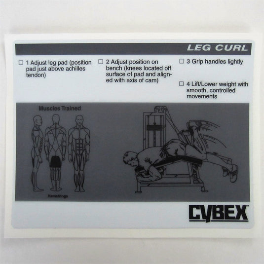 Cybex Classic Leg Curl