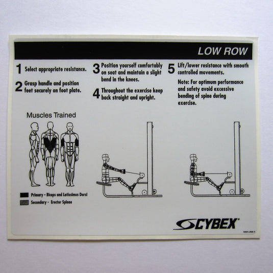 Cybex Low Row