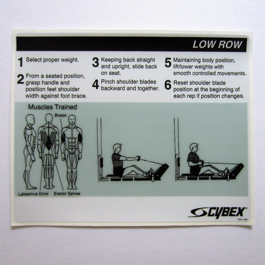 Cybex Low Row