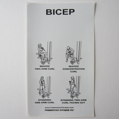 Freemotion Bicep Curl 15