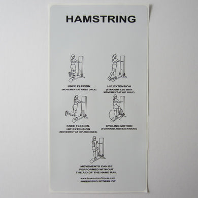 Freemotion Hamstring 21