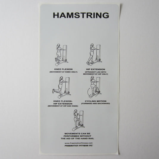 Freemotion Hamstring 21