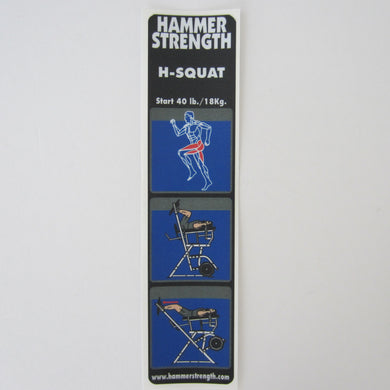 H Squat