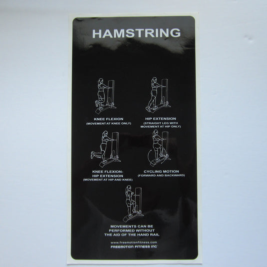 Freemotion Hamstring 21" x 11"