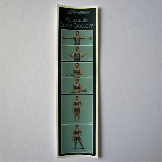Life online fitness mj8