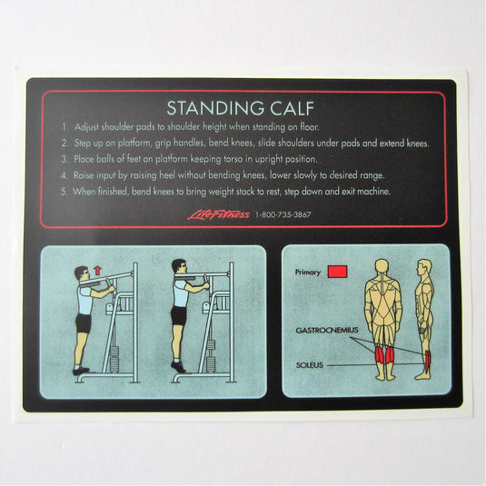 Pro 1 Standing Calf